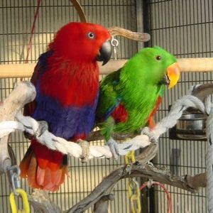 Meet your Posher, Becky